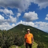 Elvir